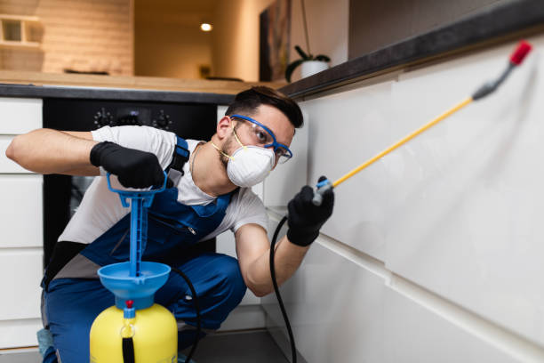 Best Affordable Pest Control Services  in Wellington, KS