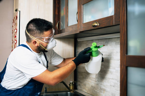 Trusted Wellington, KS Pest Control Experts