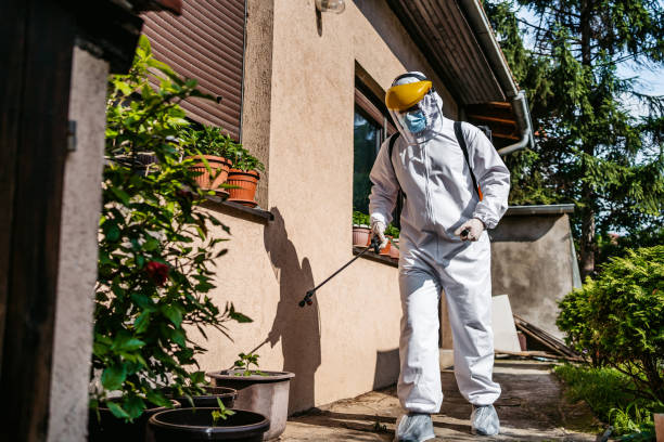 Best Emergency Pest Control  in Wellington, KS