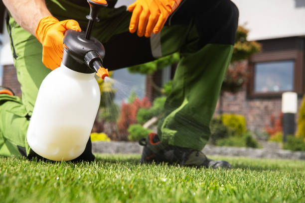 Best Exterminator Services  in Wellington, KS