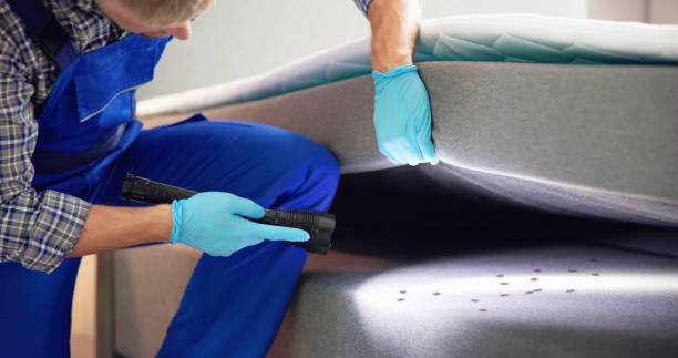Best Termite Control Services  in Wellington, KS