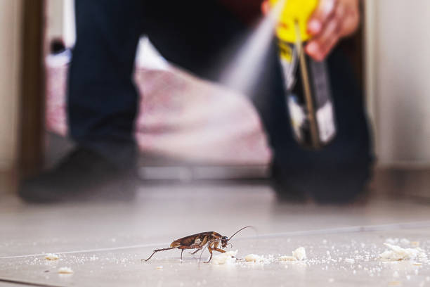 Best Cockroach Control Services  in Wellington, KS