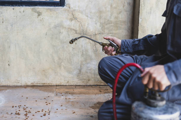 Best Pest Inspection Near Me  in Wellington, KS