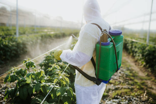 Best Local Pest Control Services  in Wellington, KS